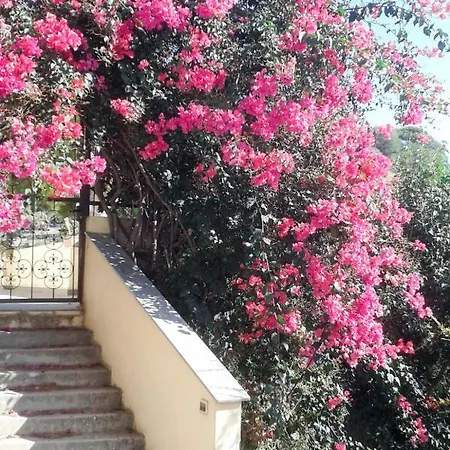 Apartment Casa Bouganville 109s *